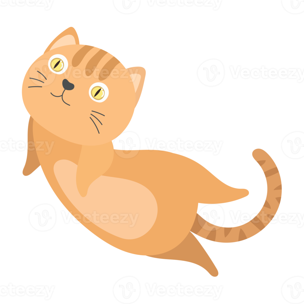 cat cartoon in flat style png