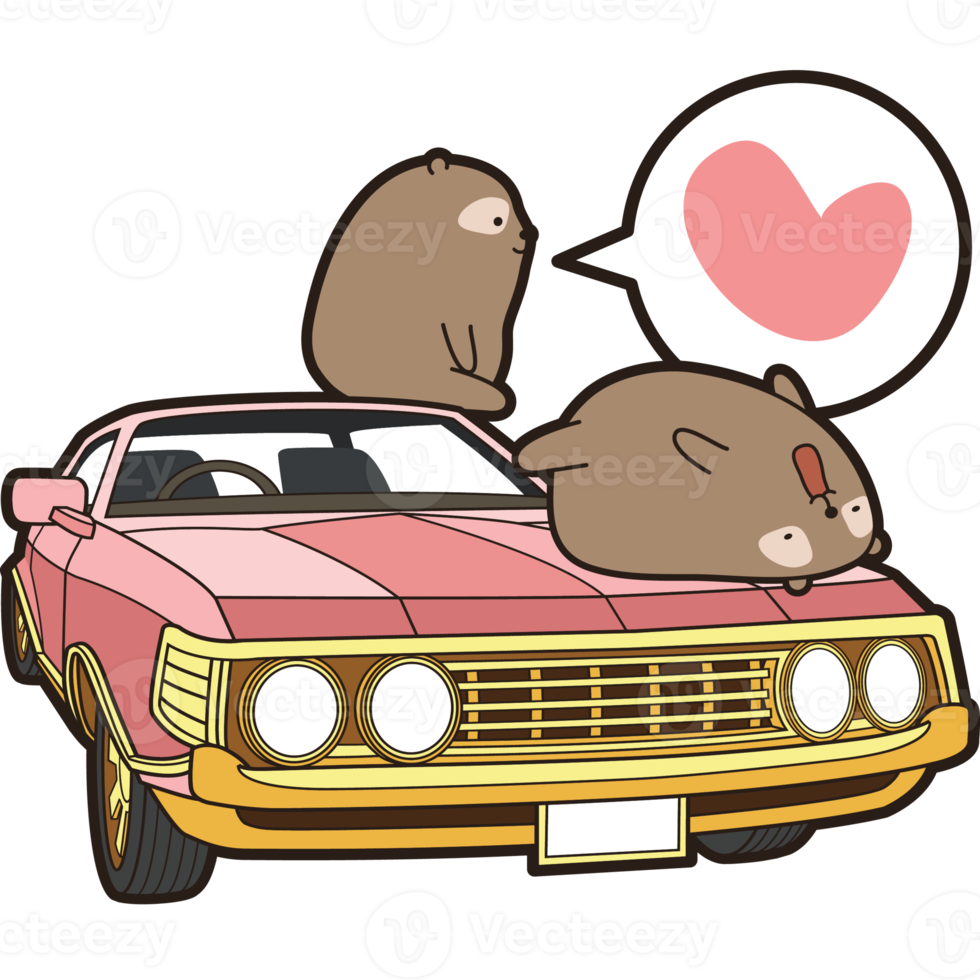 bear and cat character cartoon png