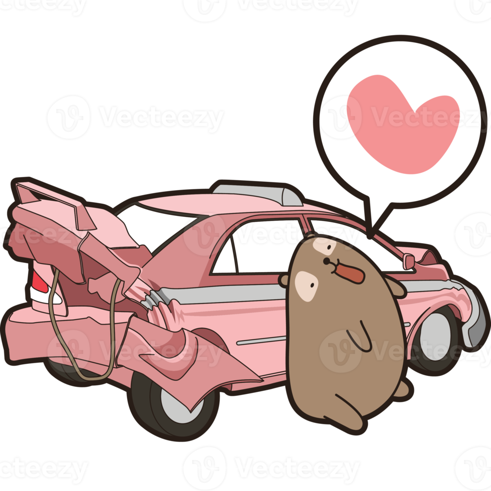 bear and cat character cartoon png