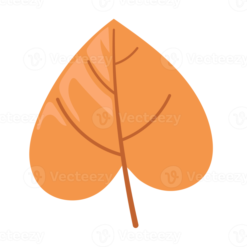 leaf cartoon in flat style png