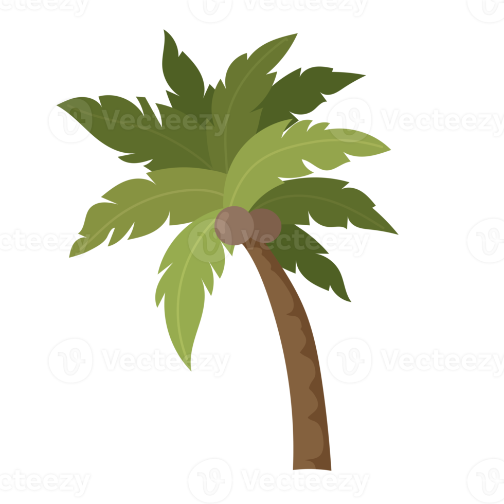 Palm tree cartoon png