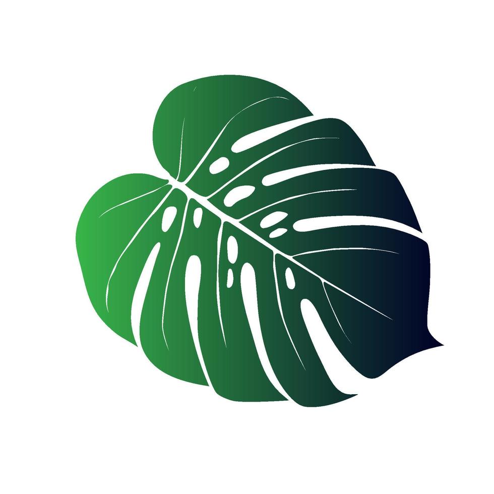 Monstera Deliciosa plant leaf from tropical forests isolated. Vector for greeting cards, flyers, invitations, web design