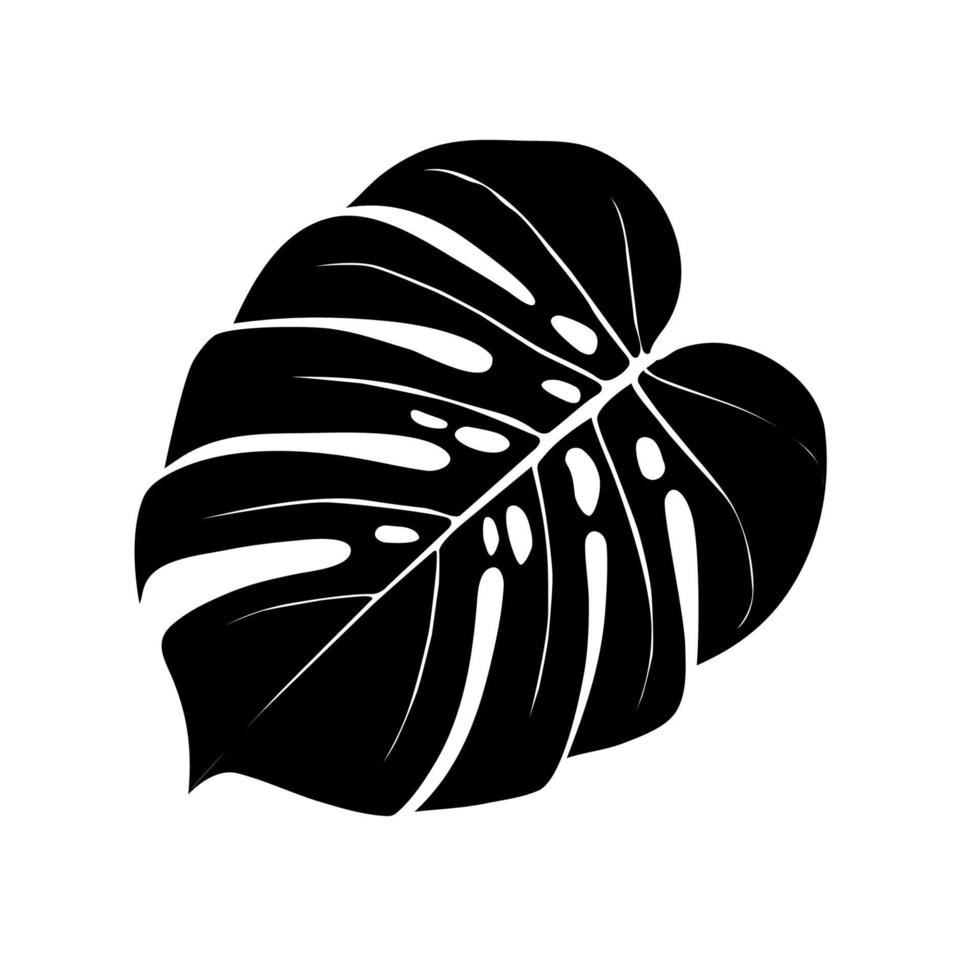 Monstera Deliciosa plant leaf from tropical forests isolated. Vector for greeting cards, flyers, invitations, web design