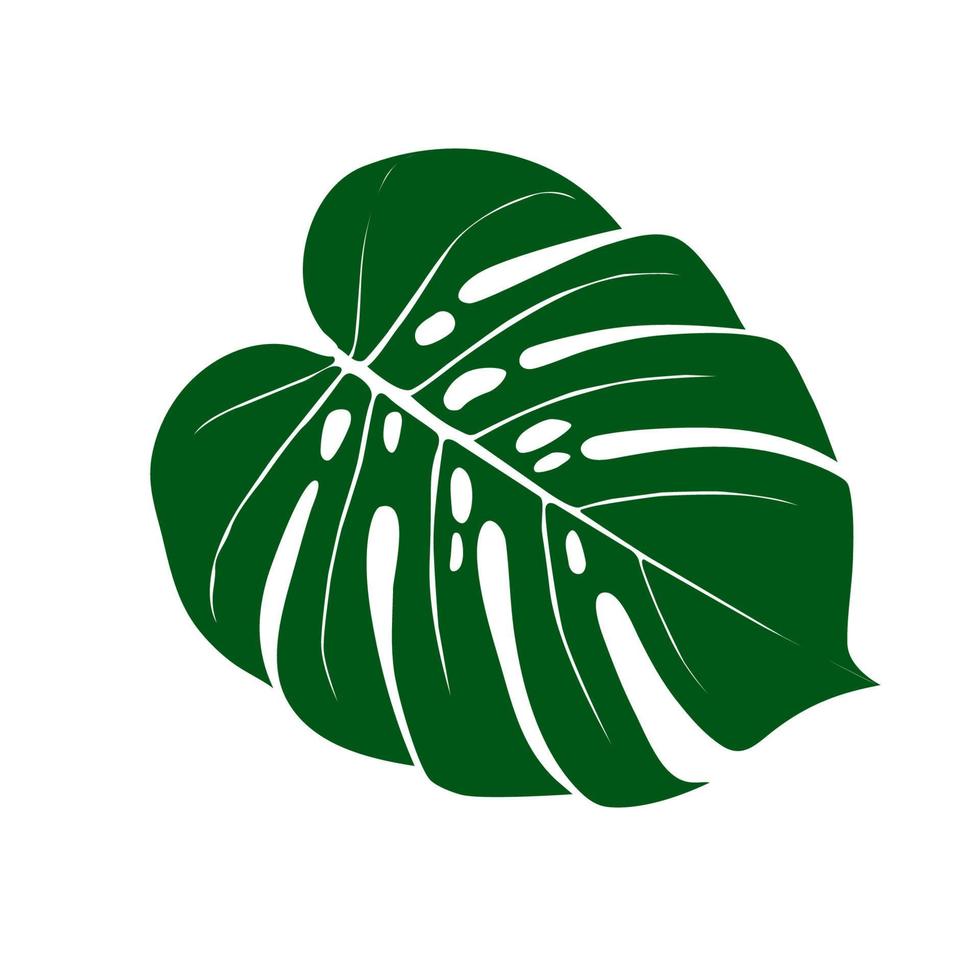 Monstera Deliciosa plant leaf from tropical forests isolated. Vector for greeting cards, flyers, invitations, web design