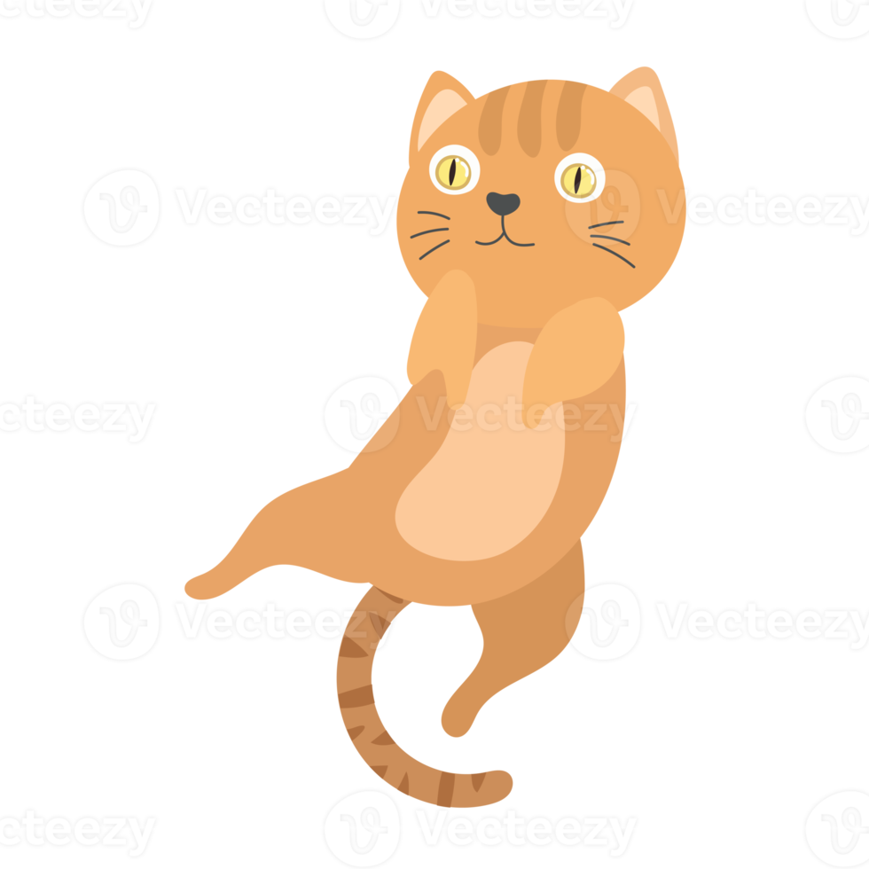 cat cartoon in flat style png