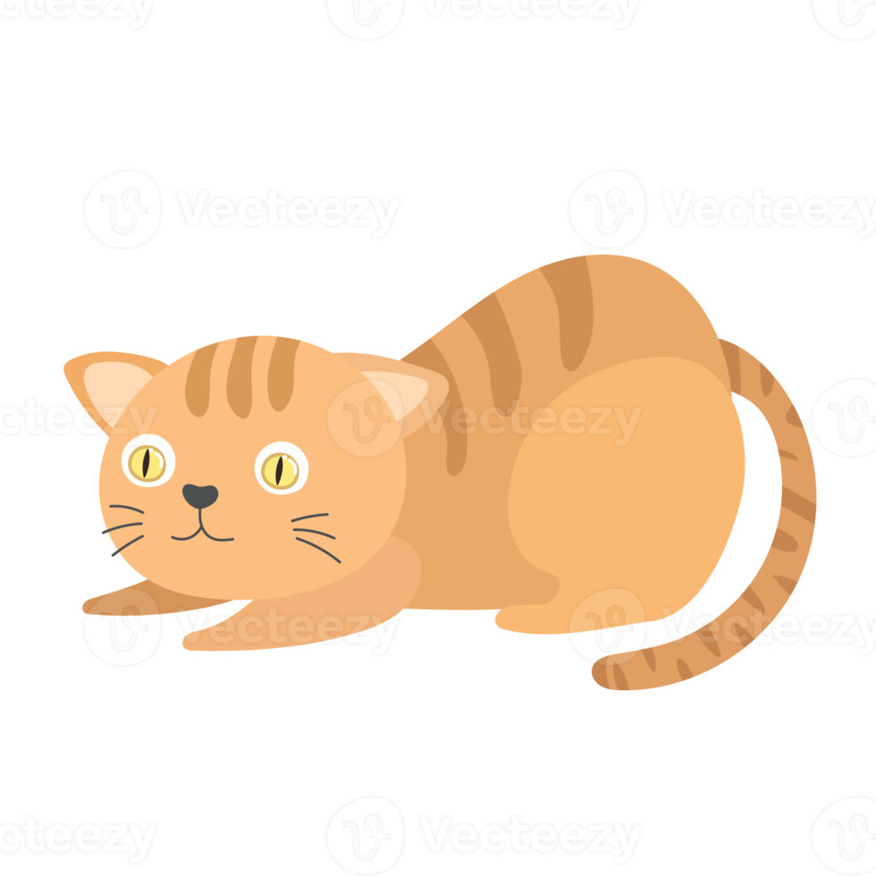 caricatura de gato en estilo plano png