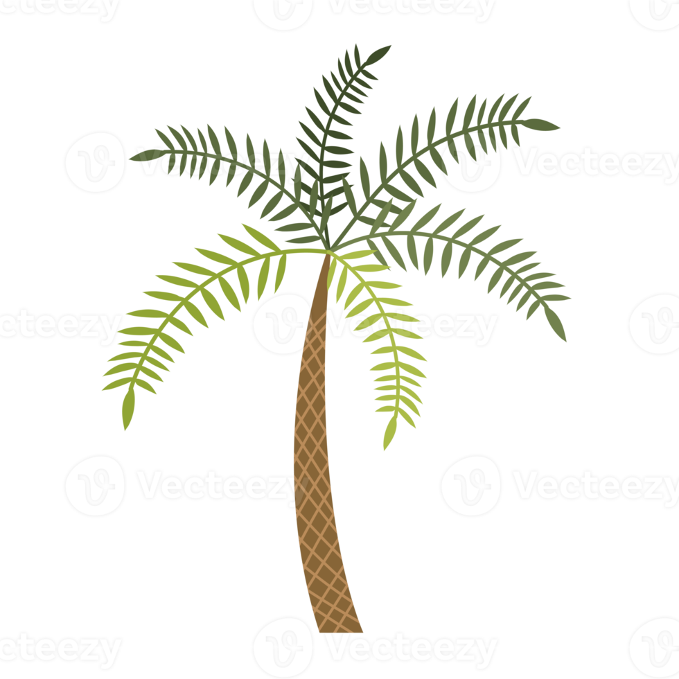 Palm tree cartoon png