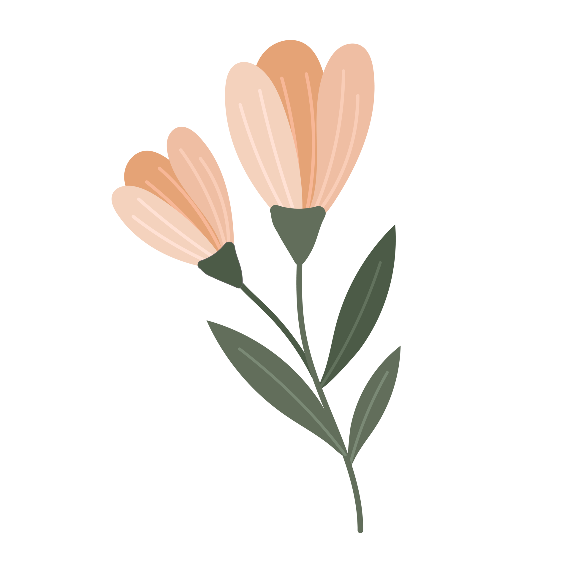Free flower cartoon in flat style 8481826 PNG with Transparent Background Free flower cartoon in flat style 8481826 PNG with Transparent Background