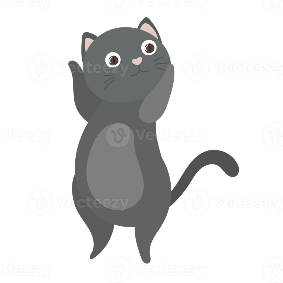 cat cartoon in flat style png