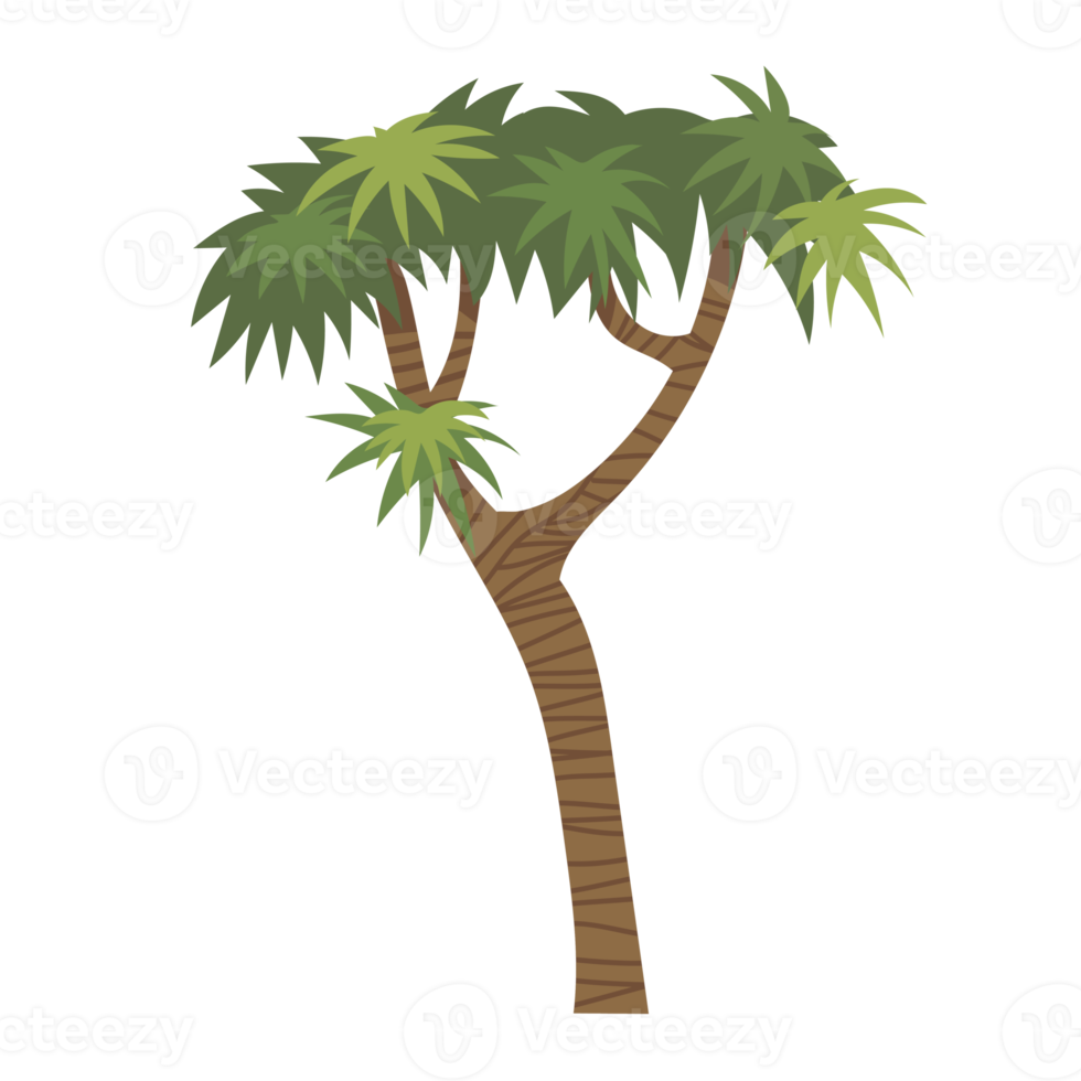 Palm tree cartoon png