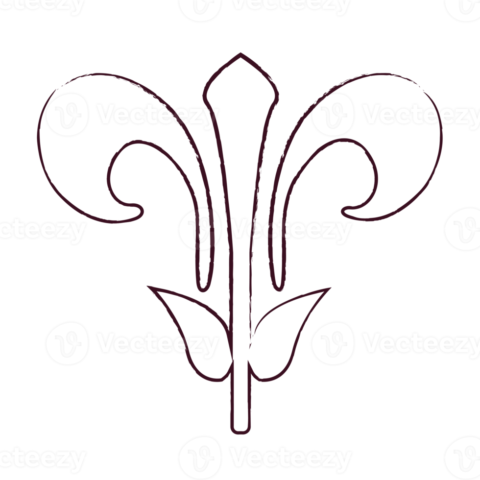 luxury element decoration png