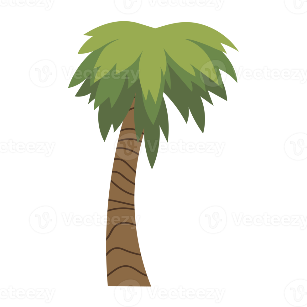 Palm tree cartoon png