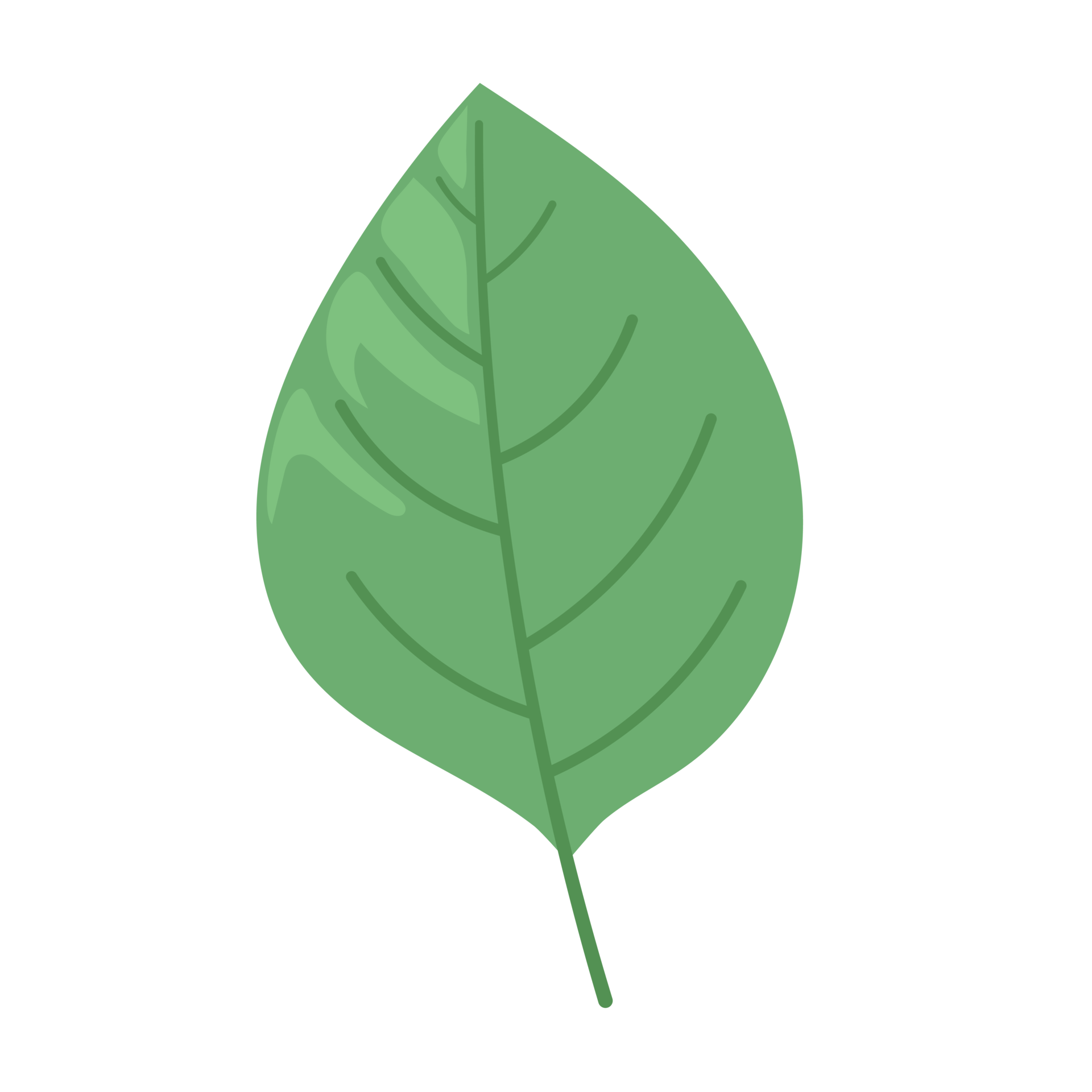 Free leaf cartoon in flat style 8482087 PNG with Transparent Background