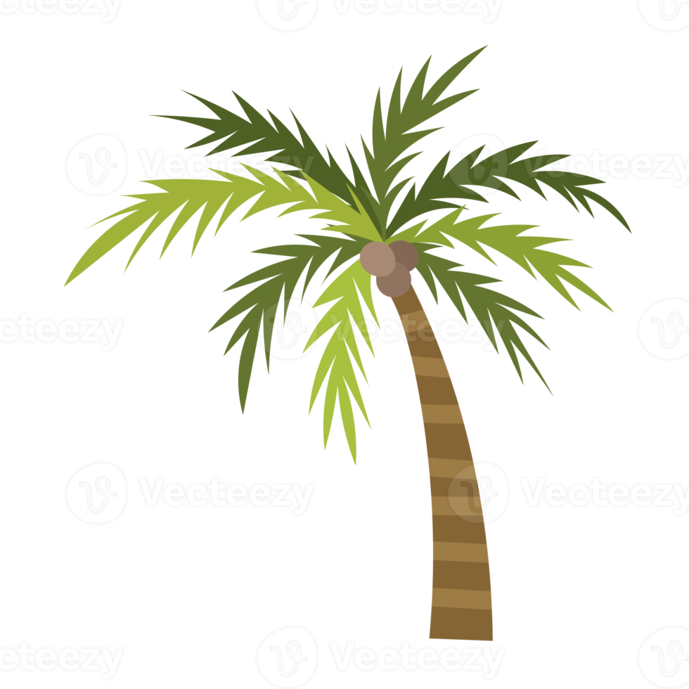 Palm tree cartoon png