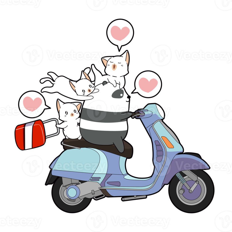 cute panda and cat cartoon png