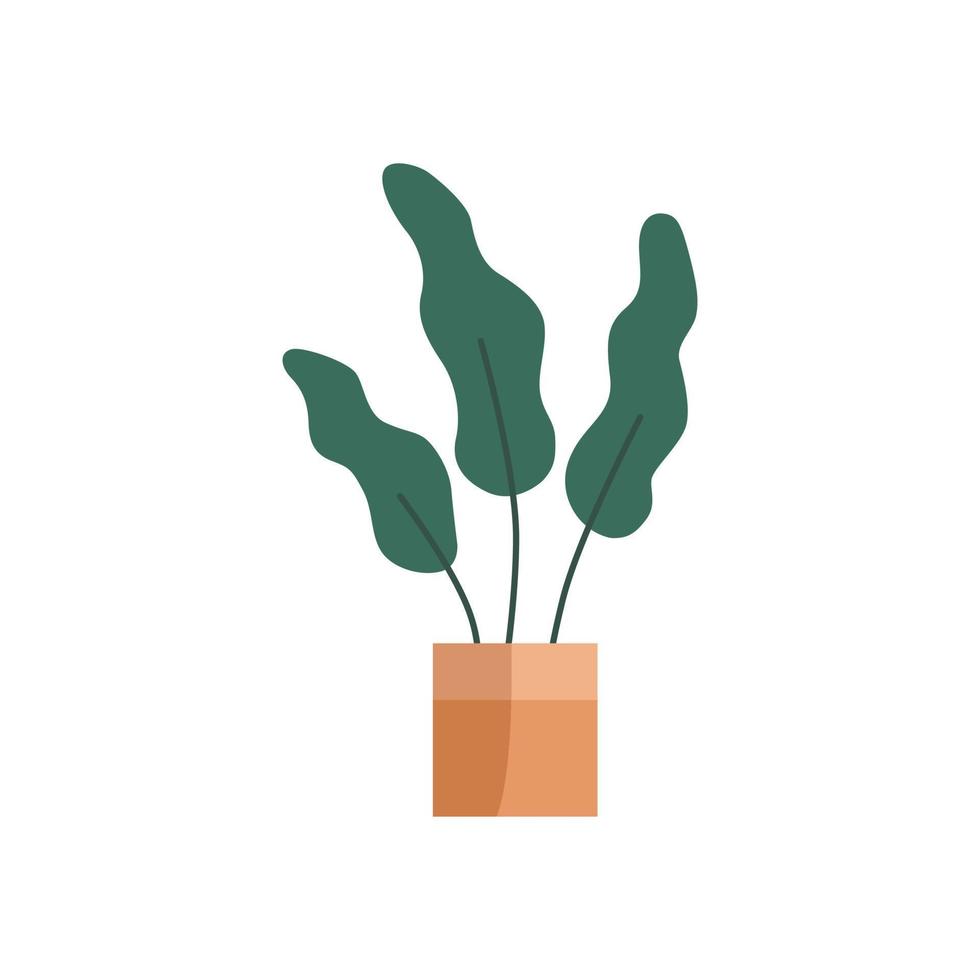 planta dibujada a mano en plantas decorativas en macetas para el hogar y la oficina vector plano. ilustración de plantas aislado sobre fondo blanco.