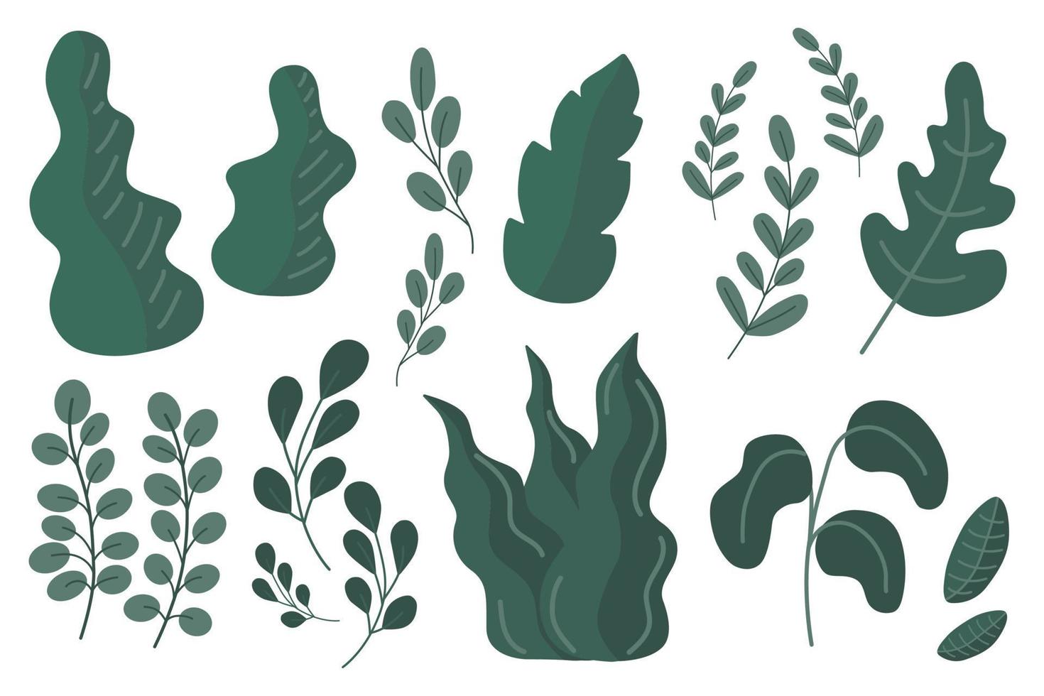 colección de hojas de plantas. deja plantas aisladas sobre fondo blanco. vector dibujado a mano. conjunto de ilustración de plantas.