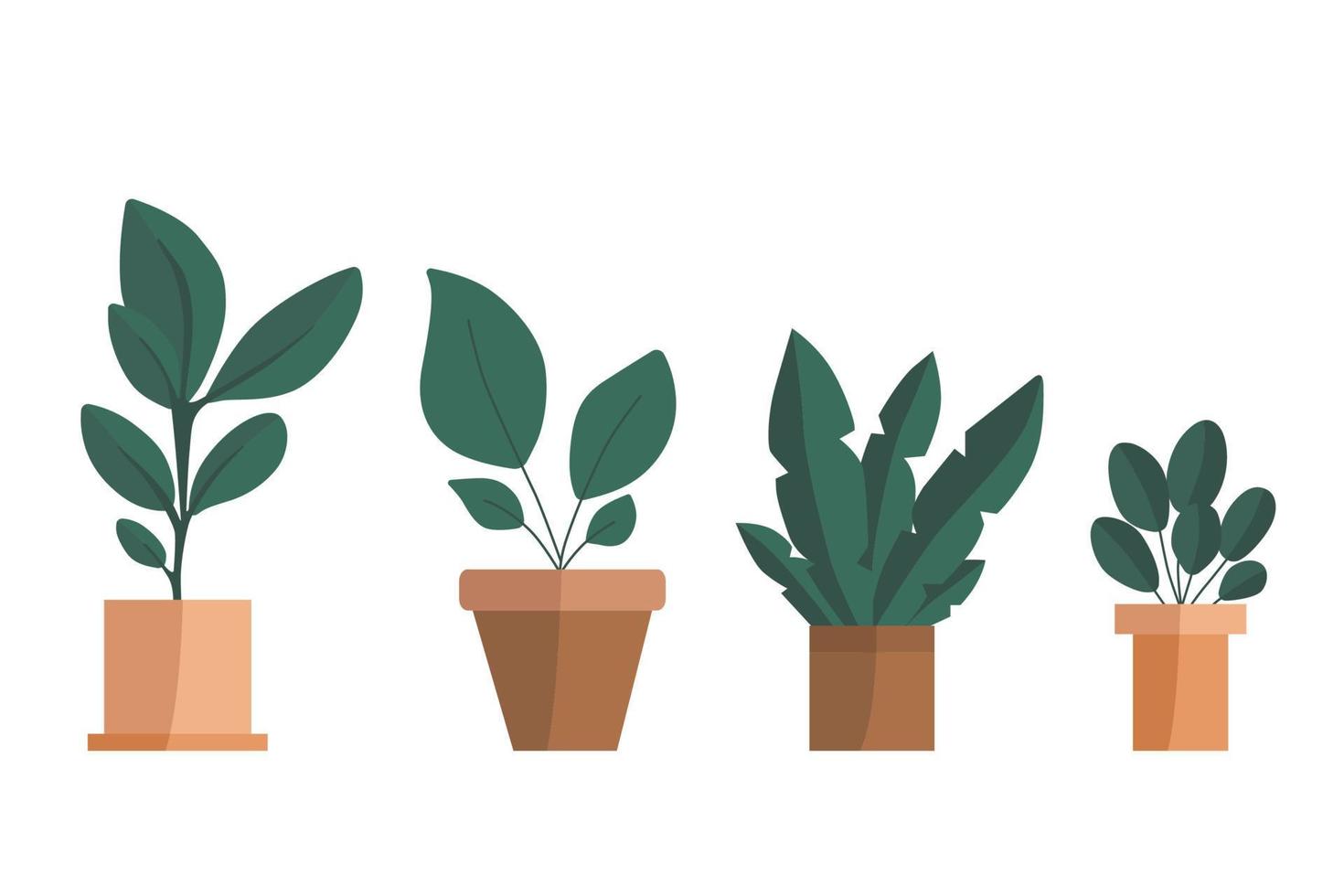 Potted plants collection sorted in order big to small. Hand drawn vector. Set of plants illustration. vector