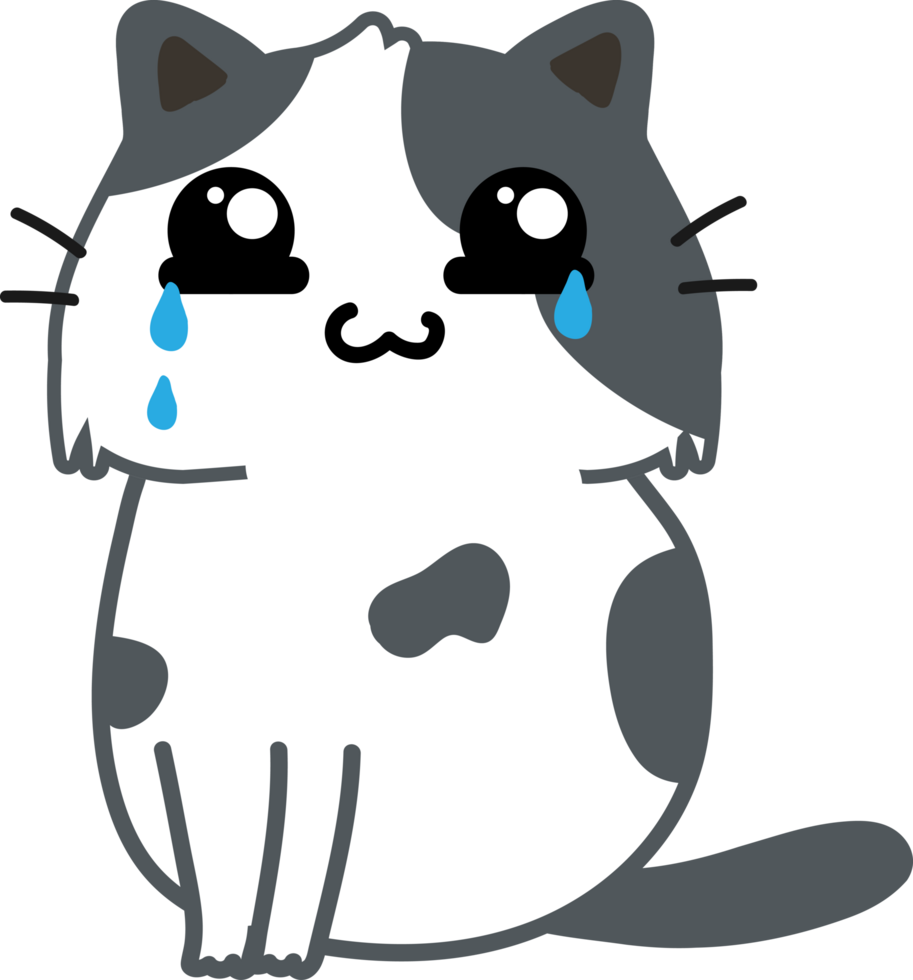 cute cat cartoon. kitty png