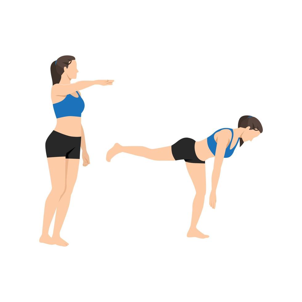 Woman doing Single leg bodyweight deadlift exercise. Flat vector illustration isolated on white background