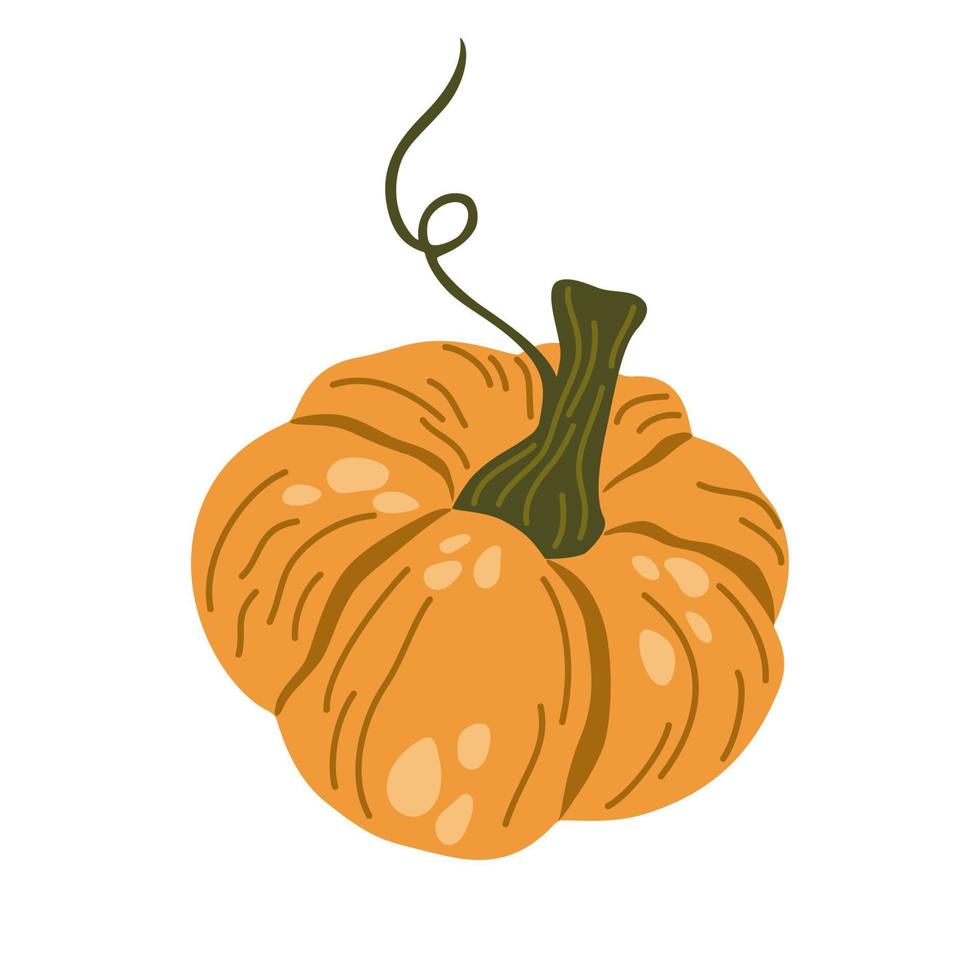 Pumpkin. Vegetables food. Autumn, fall, thanksgiving and Halloween decoration. Hand draw vector cartoon illustration isolated on the white background.