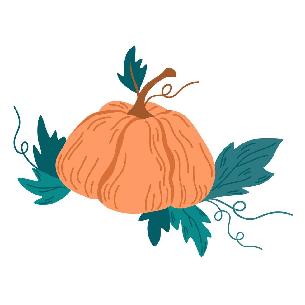 Pumpkin. Vegetables food. Autumn, fall, thanksgiving and Halloween decoration. Hand draw vector cartoon illustration isolated on the white background.