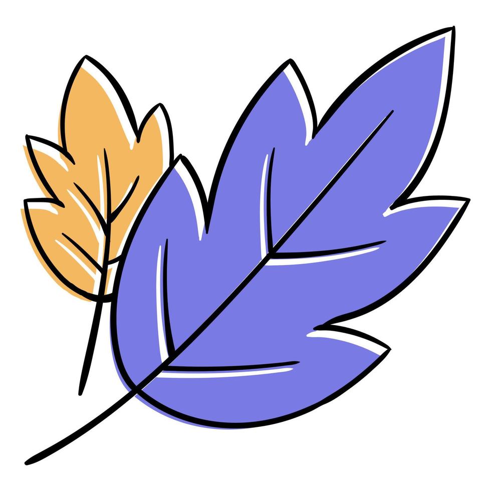 Hand Drawn Leaf Illustration vector