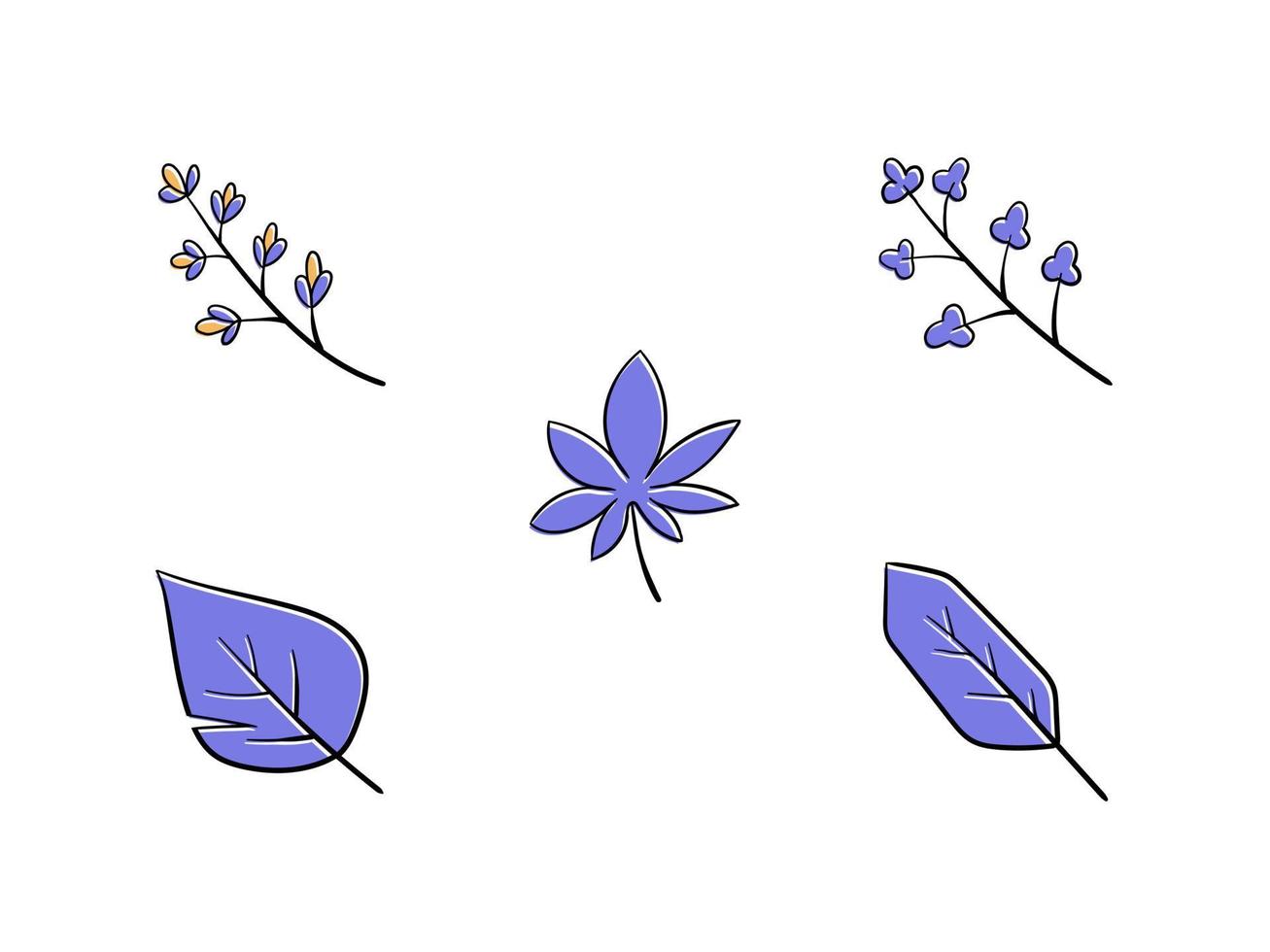 Hand Drawn Leaf Illustration Collection vector