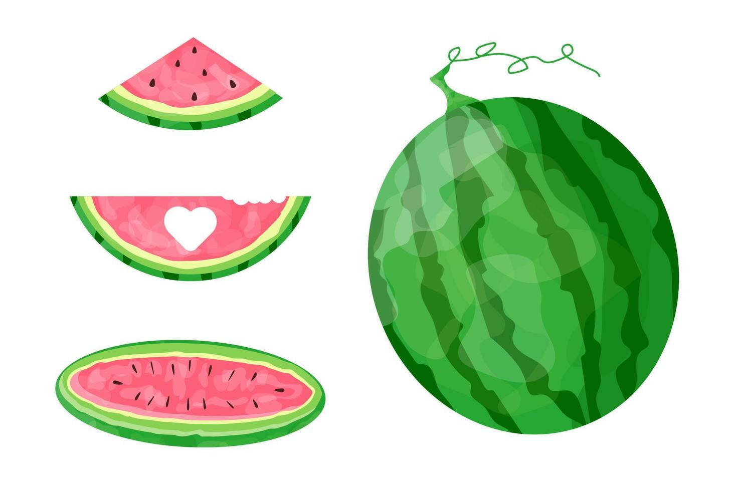 Collection of pink watermelons from different angles. Vector set of summer fruits. Use for posters, banners, posters, scrapbooking, stickers, decorations, covers.