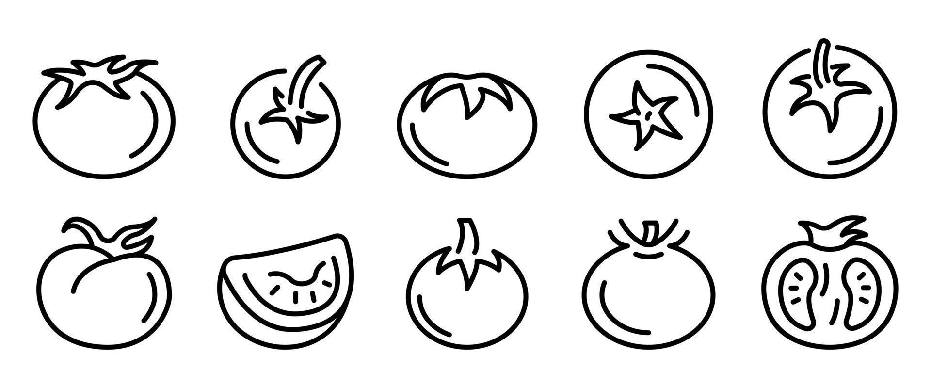 Tomato icons set, outline style vector