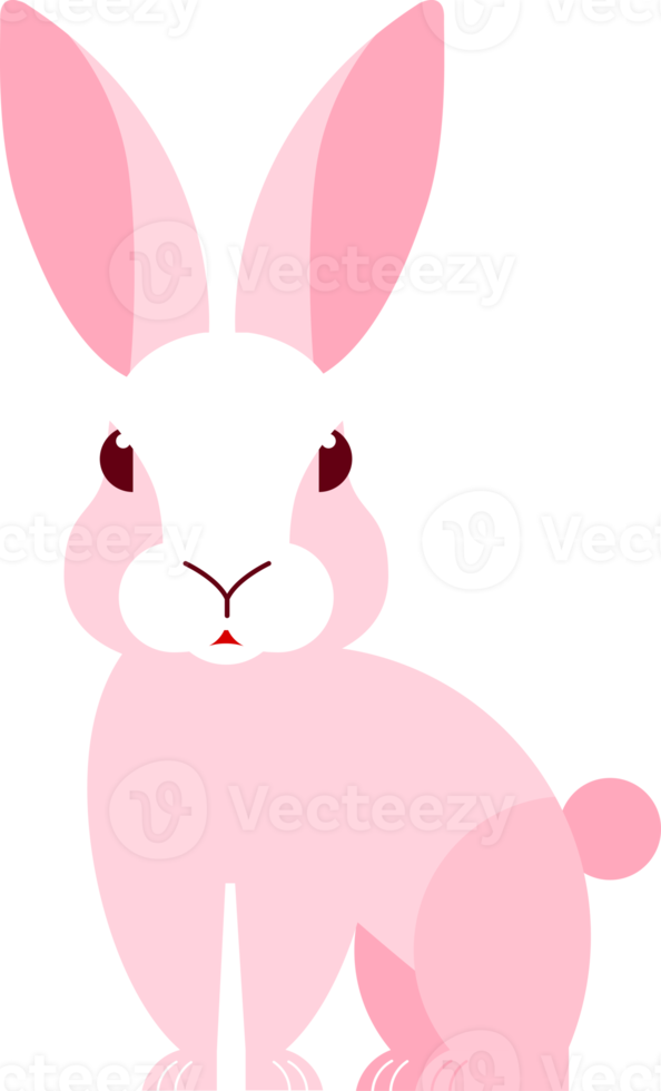 cute rabbit cartoon character png