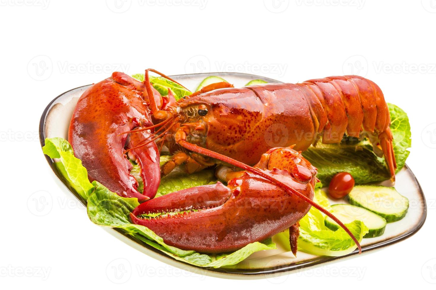 Large Lobster on white photo