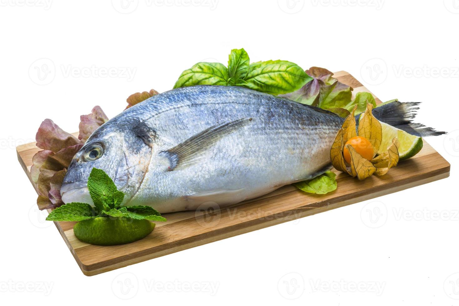 Fresh raw dorada photo