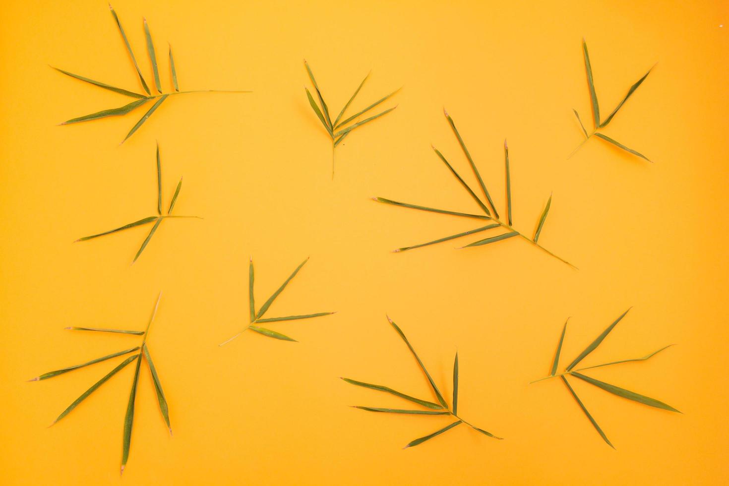 Many bamboo leaves arranged in a pattern on an orange background. photo