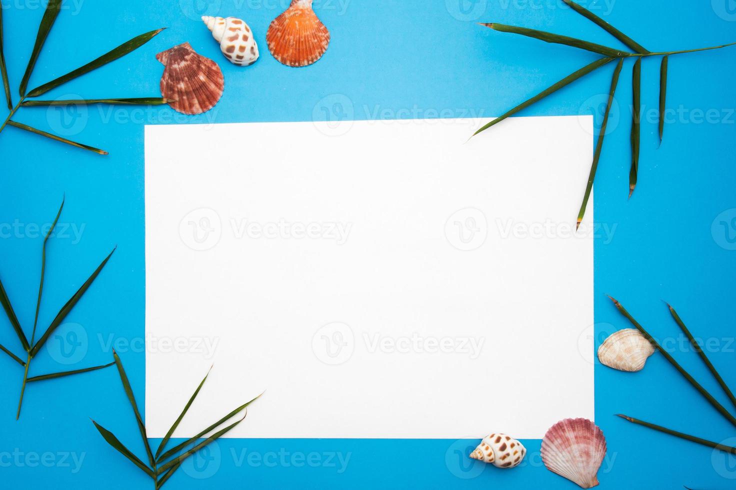 Blank paper concept for text with frames adorned with Bamboo leaves,shell and blue paper background. photo