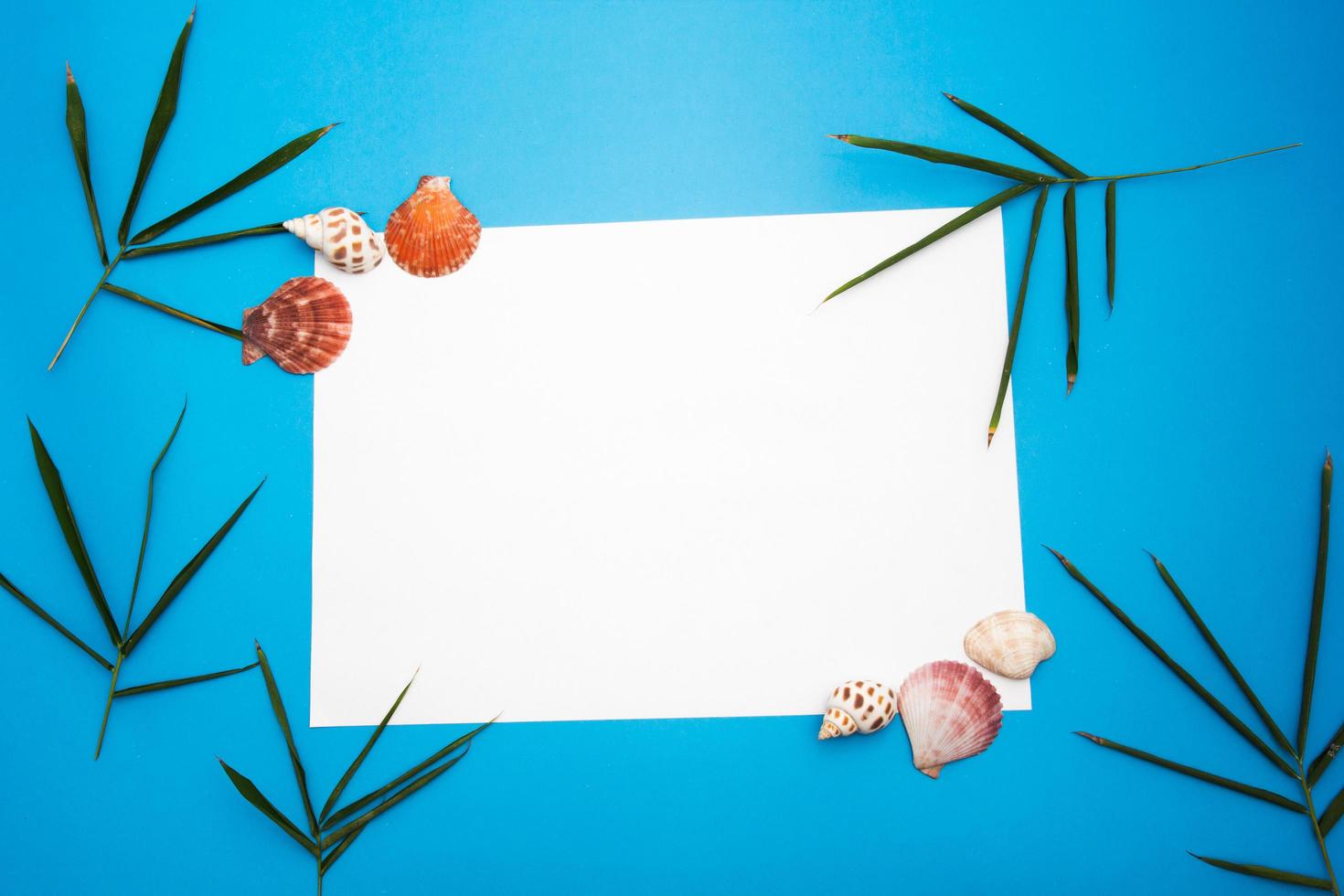 Blank paper concept for text with frames adorned with Bamboo leaves,shell and blue paper background. photo