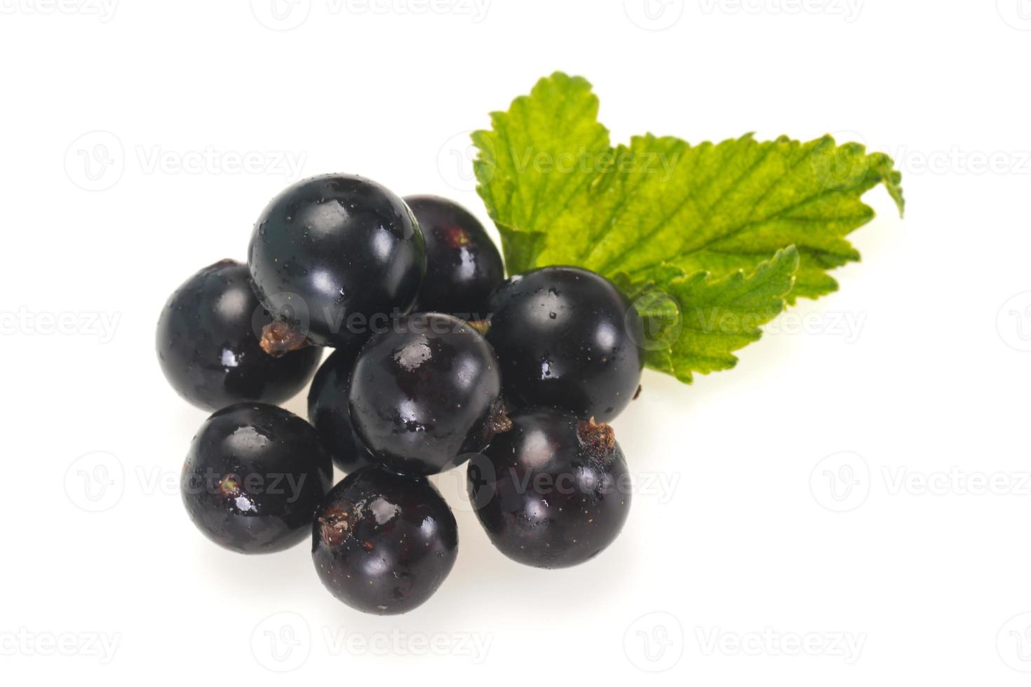 Fresh ripe sweet black currant photo