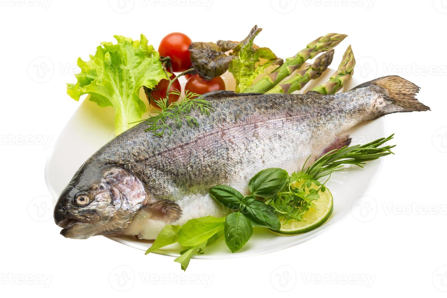 Fresh raw rainbow trout photo