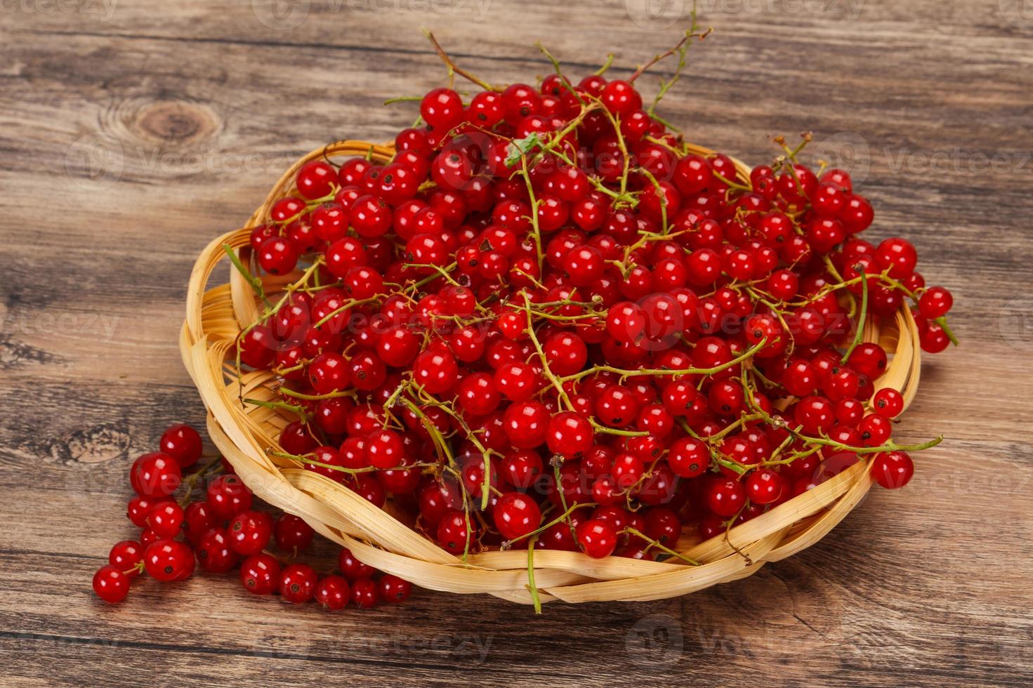Sweet tasty fresh Red currant photo