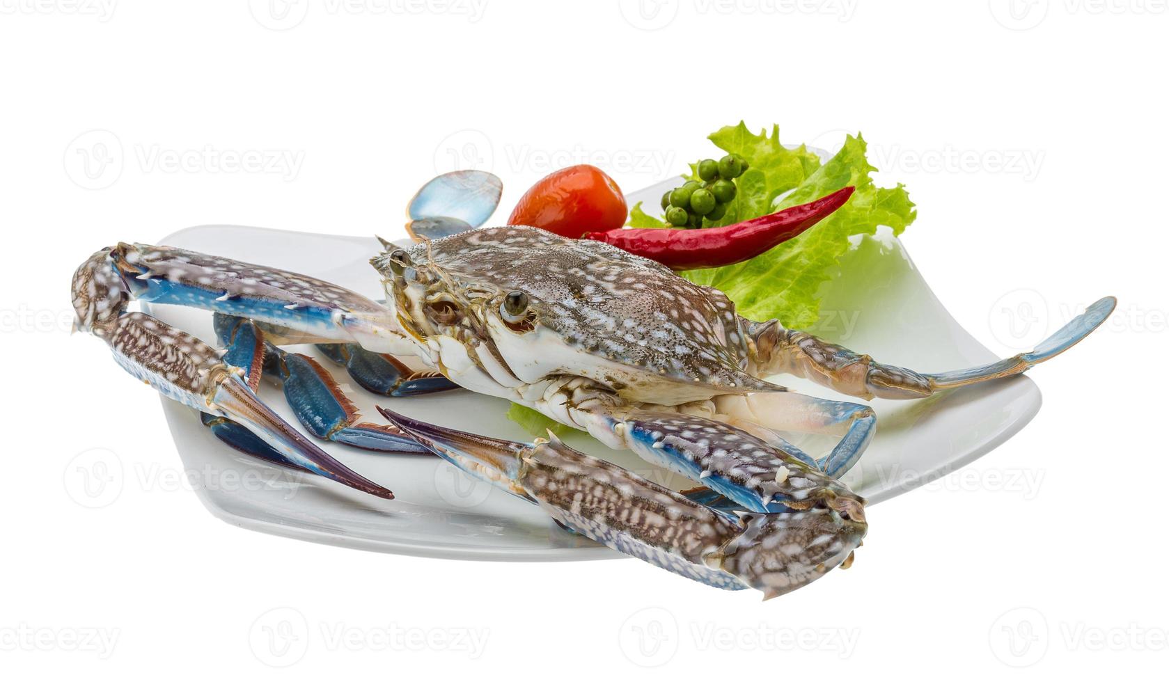 Raw blue crab photo