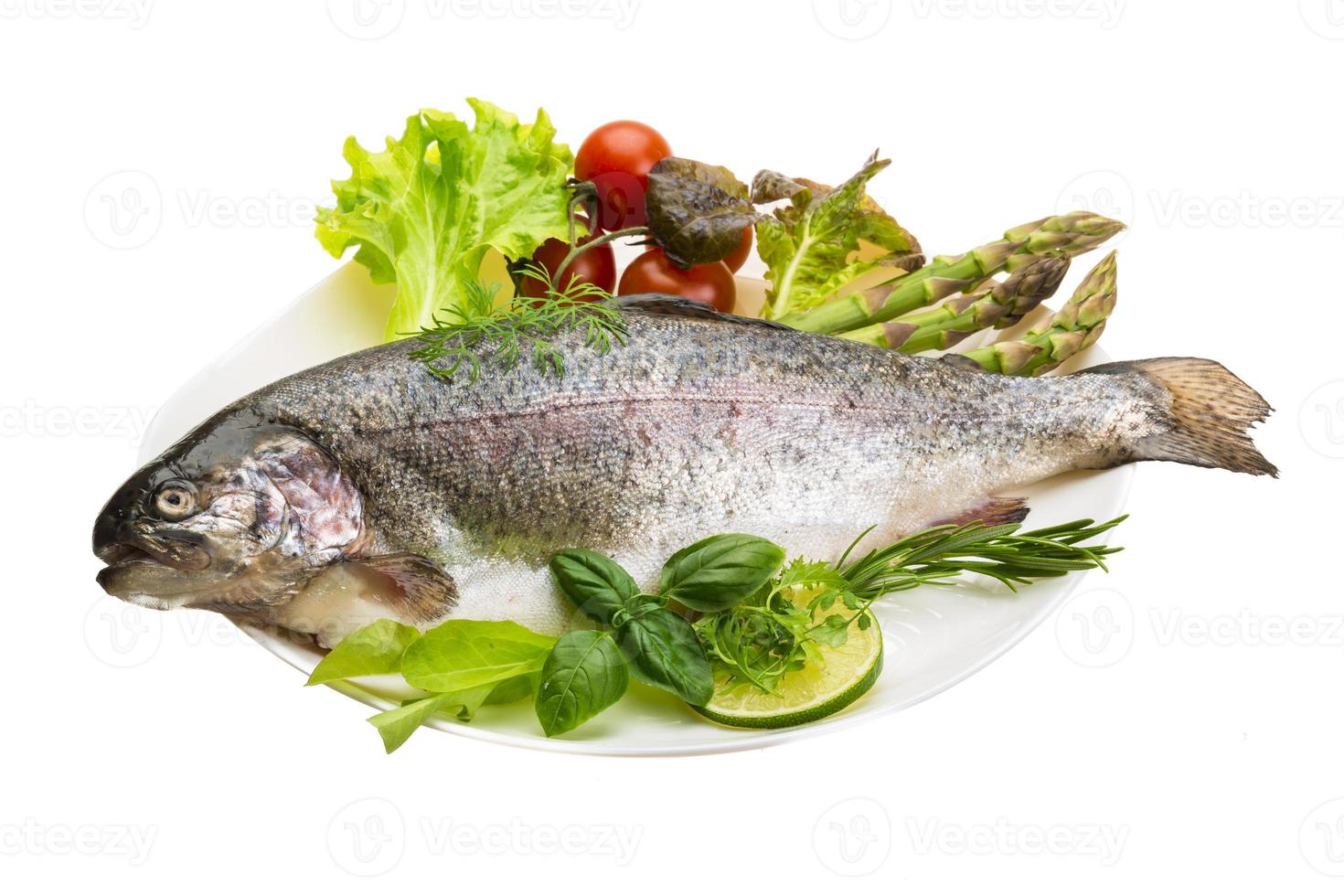 Fresh raw rainbow trout photo