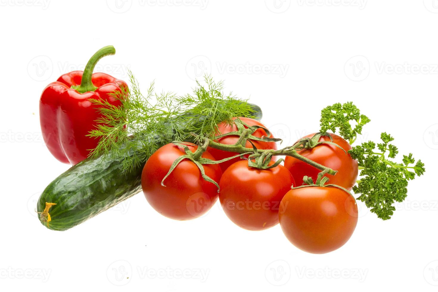 Red ripe tomatoes on the branch photo