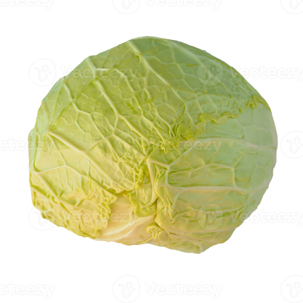 cabbage vegetable transparent PNG