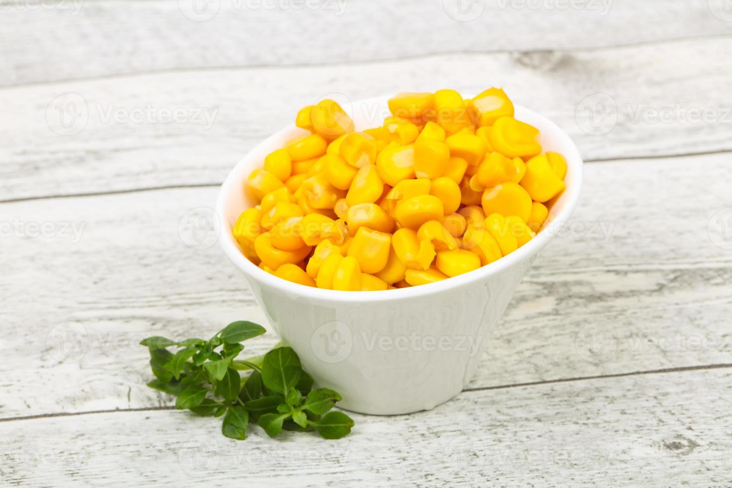 Young sweet corn photo