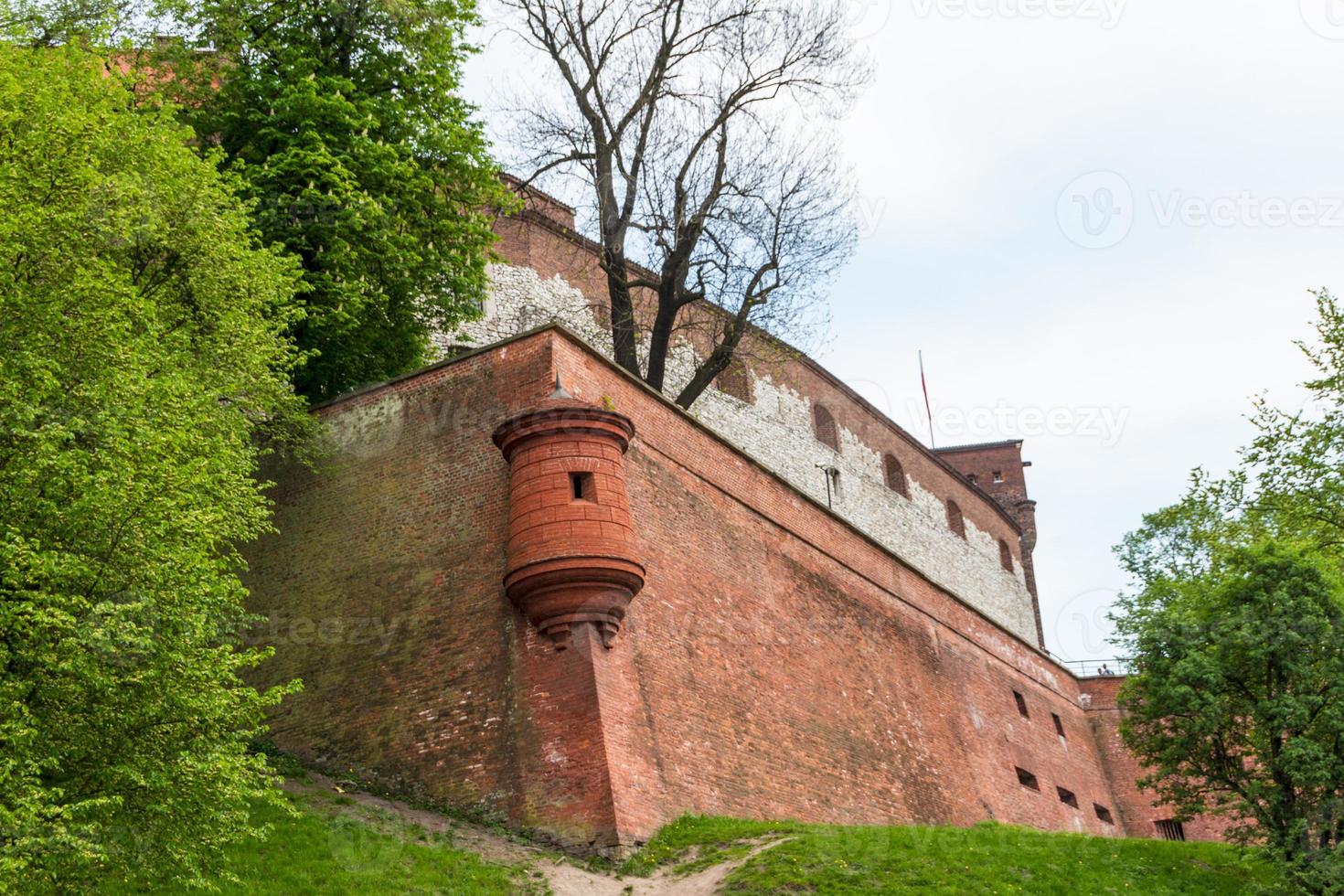 Royal castle in Wawel, Krakow photo