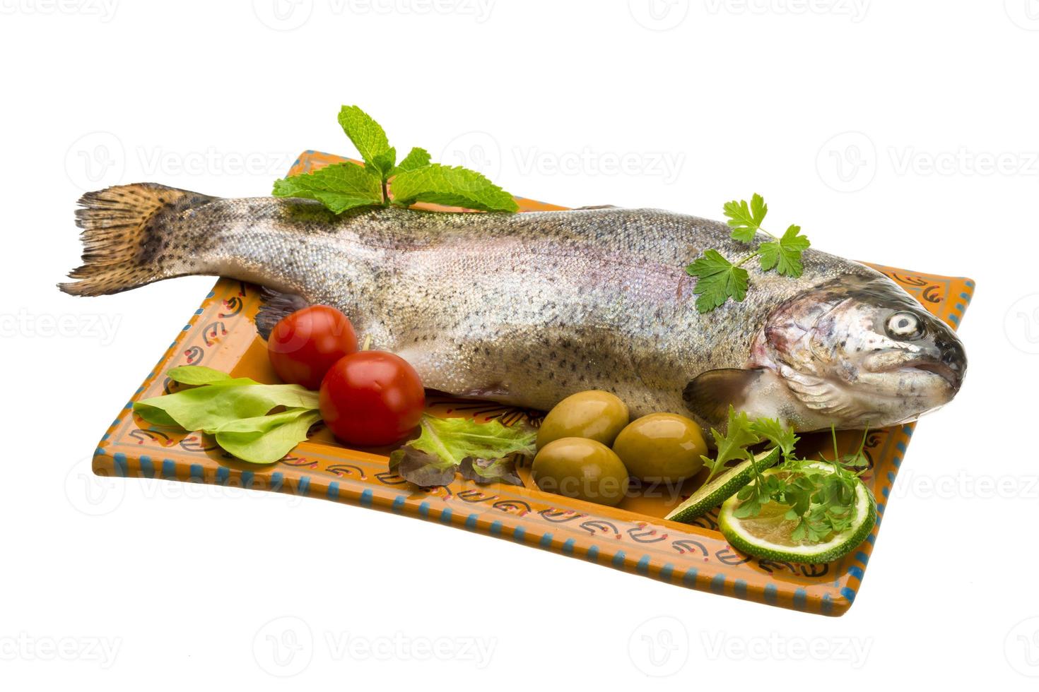 Fresh raw rainbow trout photo