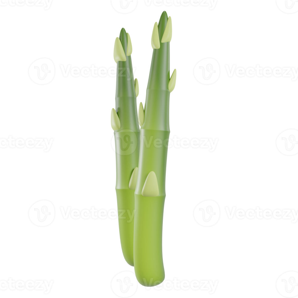 3d render asparagus object png