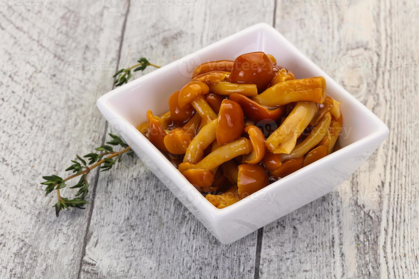 Pickled honey agaric photo