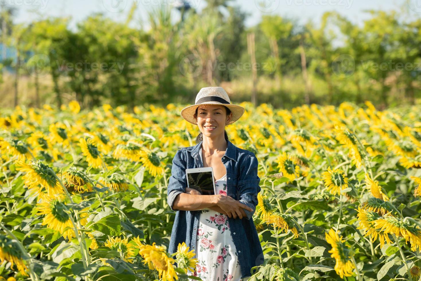 agronomist with a tablet in his hands works in field with sunflowers. make sales online. the girl works in field doing the analysis of growth of plant culture. modern technology. farming concept. photo