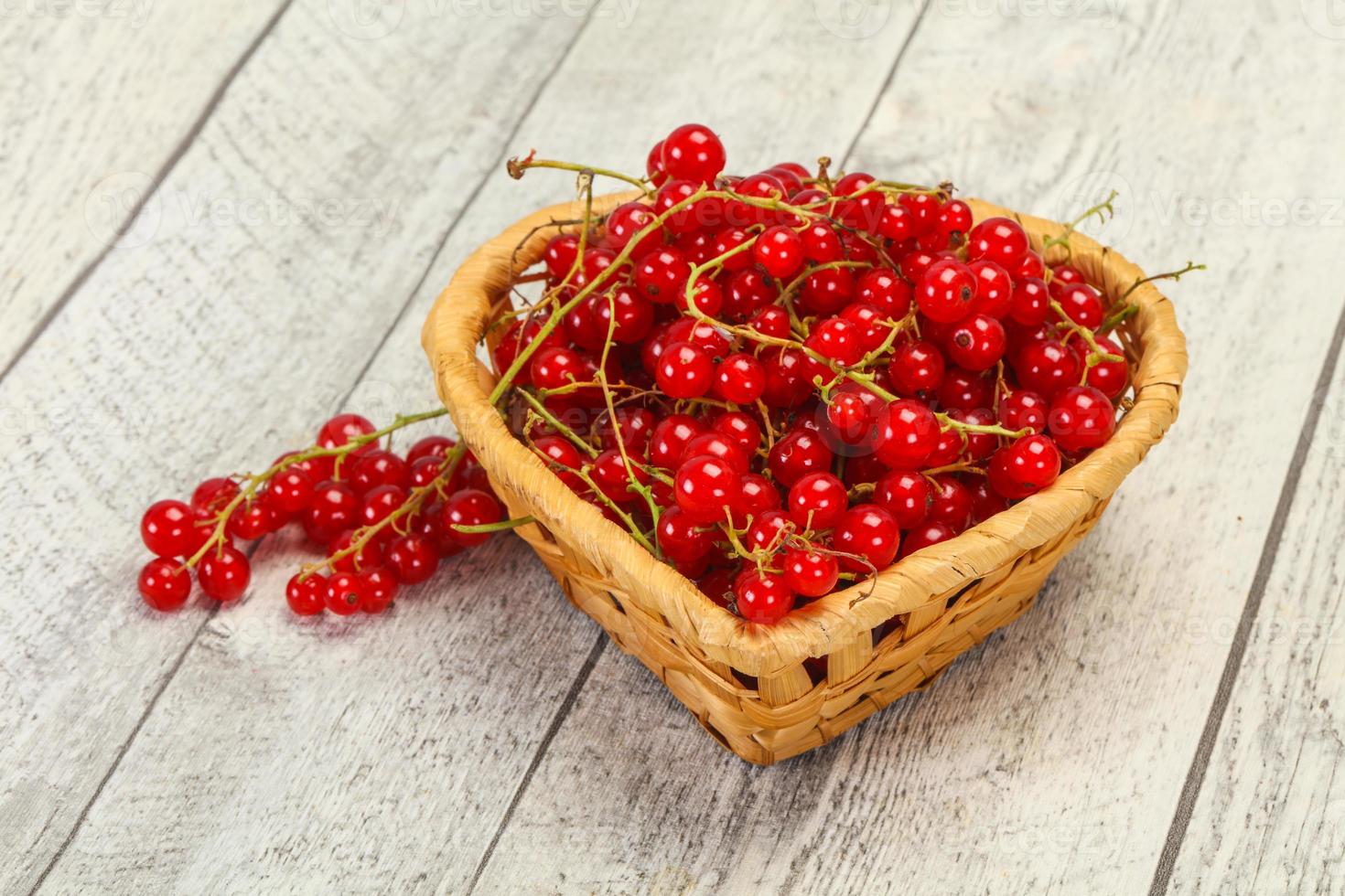 Sweet tasty fresh Red currant photo